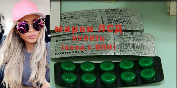 шишки Баксан