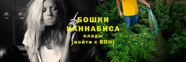 шишки Баксан