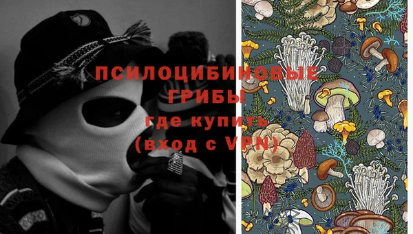 шишки Баксан