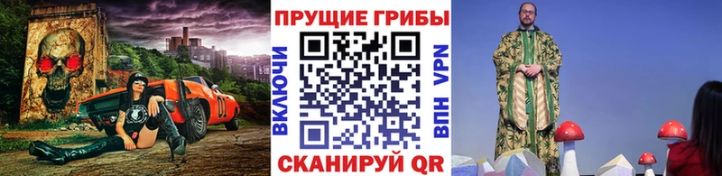 хочу   Сретенск  Галлюциногенные грибы Magic Shrooms 